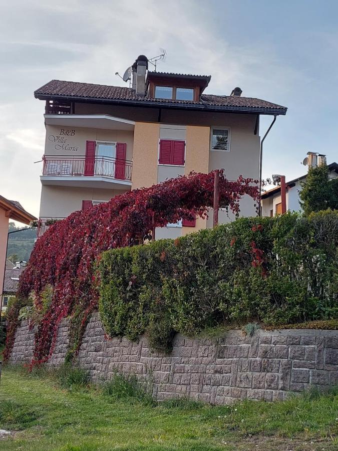 Bed & Breakfast Villa Maria Cavalese Exterior foto